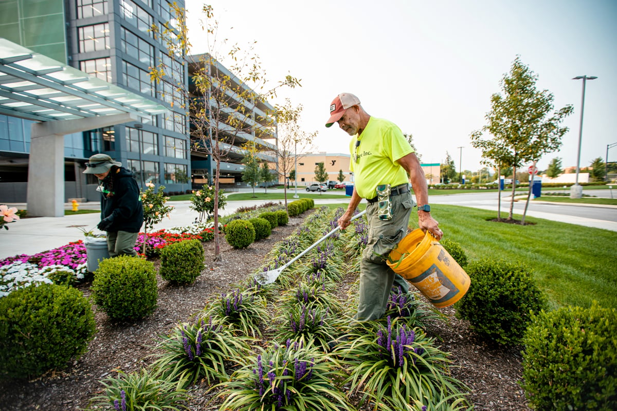 Landscaping